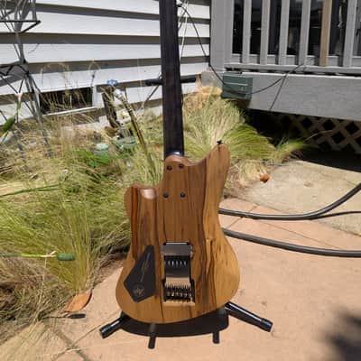 Hapas Judge 630 2025 - Natural black limba image 5