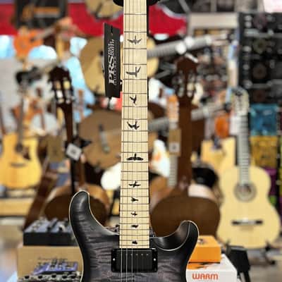 PRS Dustie Waring Signature CE 24 Floyd - Faded Blue Smokeburst image 6