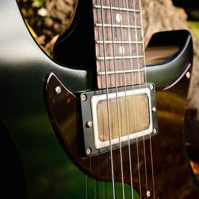 2016 Echopark Arroyo Californian Build - Dean Fertita Model & Spec image 4