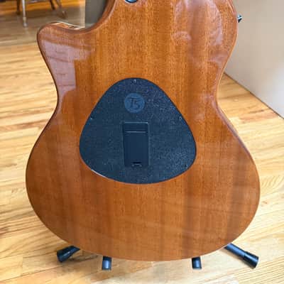 Taylor T-5 2006-2007 - Gold Top image 4