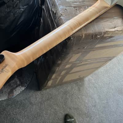 Jim Root Squier Telecaster Discontinued image 2