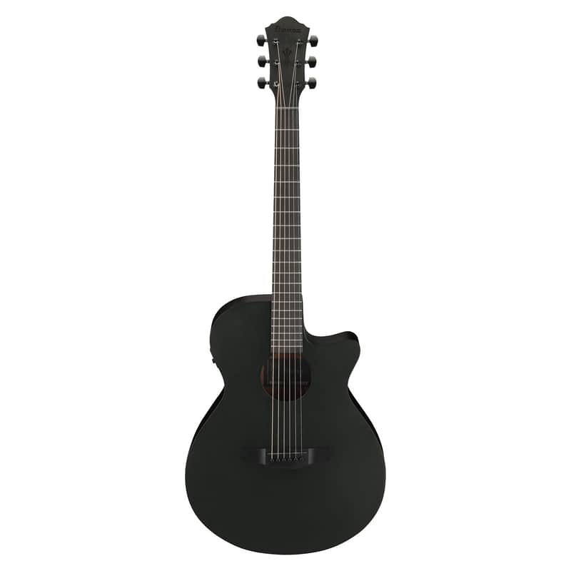Ibanez AEG621 image 1
