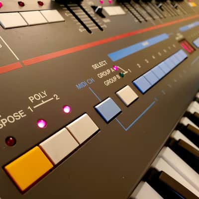 CERTIFIED!!! ROLAND JUNO 106 FULLY INSPECTED/SERVICED AND IN AMAZING CONDITION! image 12