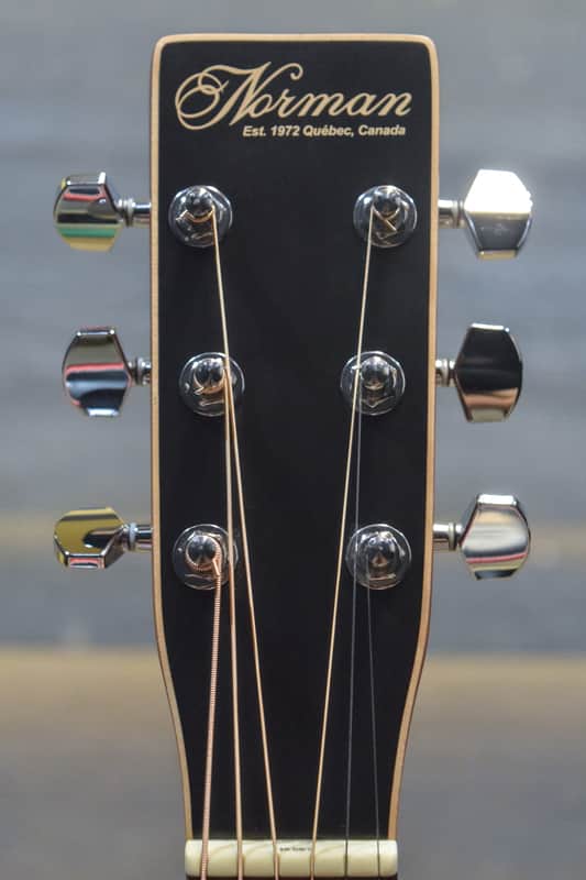 Norman Protege B18 Cedar Black Presys Dreadnought Acoustic