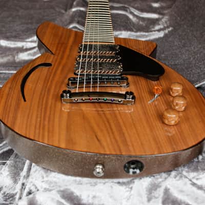 Build to Order GB Liuteria Boutique Plié 7 string toad edition image 7