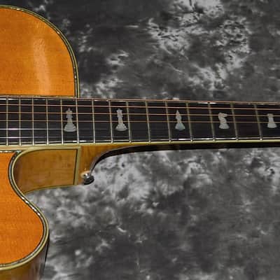 1979 Greven - Custom White Queen Cutaway image 16