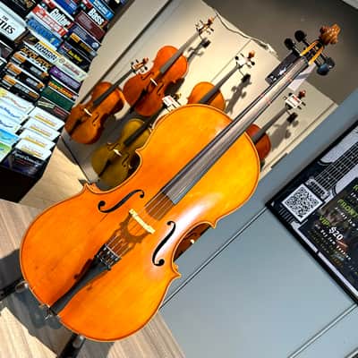 Student Cello: 1/2 Cello - Segue Concertino Plus 2016 - Oil varnish image 21