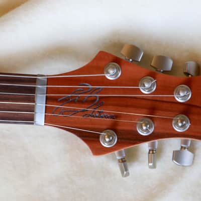 Build to Order GB Liuteria Boutique  Plié 6 string python edition for GIANLUCA GRIGNANI image 21