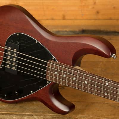 Sterling RAY5 SUB Series StingRay 5 Bass - Walnut Satin image 5