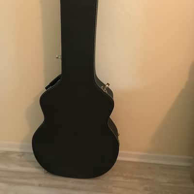 Hard Shell Case for Acoustic Bass Guitar/Acoustic Guitar image 2