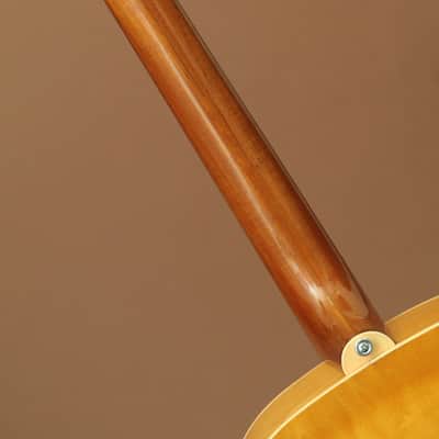 Epiphone ZENITH image 7