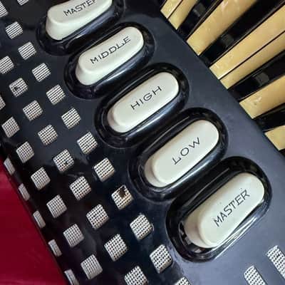 Excelsior Model 245 Accordion Piano Black Gloss Finish With Original Case image 15