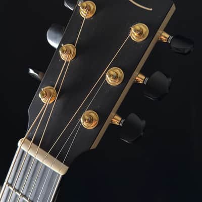 Lowden Pierre Bensusan Signature F50C image 12