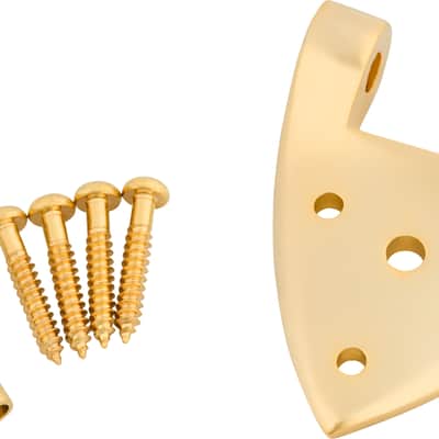 Bigsby B3/6C Gretsch Hinge with Hinge Pin and Screws, Gold image 2