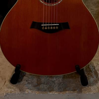 Taylor GS7 2006 - 2012 - Natural image 5