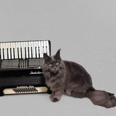 Paolo Soprani Accordion 1940s-50s  - Accordion plastic image 16