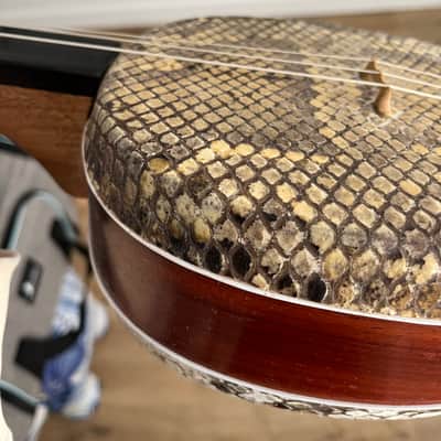 Mongolian Shanz/Shadruga (like Sanxian/Shamisen) – Fretless Folk Banjo image 9