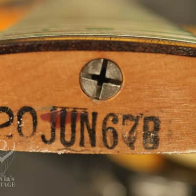 Immagine 1967 Fender Coronado Bass I Sunburst - 25