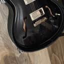 PRS Hollowbody - Dog hair