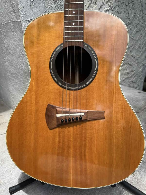 Gibson MK-35 1977 - Natural image 1