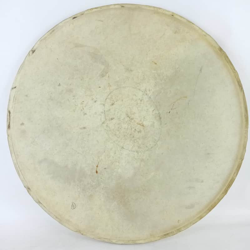 Lyon&Healy 14"Batter Snare/Tom Drum Calf Skin Head Vintage Early 1900s USA Floor image 1