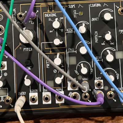 Make Noise 0-Coast Patchable Synthesizer 2008 - Present - Black image 1