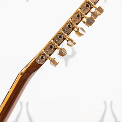Daion Year Series '78 Heritage / 12 String With Rare Factory Transducer image 18