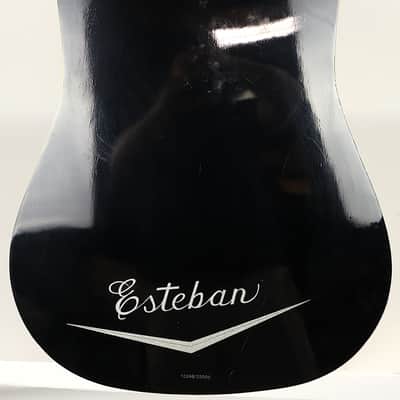Esteban Eldorado Limited Edition Cadillac Acoustic Electric Guitar w/ gig bag image 7