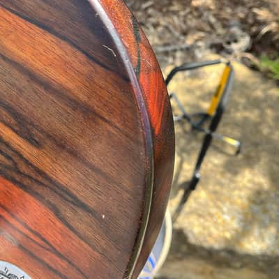 Teye Super Coyote Electric Gypsy Bass with Dragon Protector Plate image 13