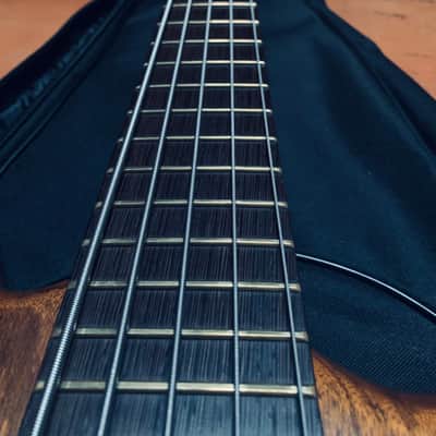 Warwick Thumb BO 5 string made in Germany 2004 image 4
