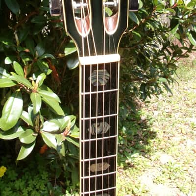 K.Yairi YW-800G B. Rosewood Jacaranda Japan Vintage Grammer Guitar Style 1979 image 5