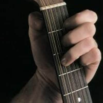 The Twelve String Guitar Guide Case Book image 1