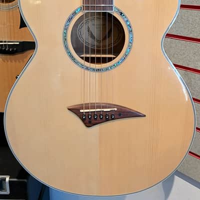 DEAN Performer E GN Spruce Top Mahogany Body Acoustic Guitar EQ-7545 w/Gig Bag image 1