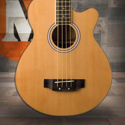 Washburn KW 1250 Kip Winger Signature Flame Antique Natural (05/22