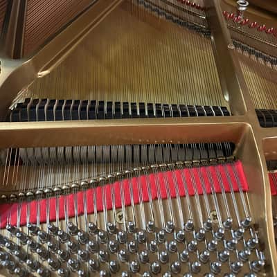 Sherwood G185 Grand Piano – 6', High-Quality New Instrument image 8