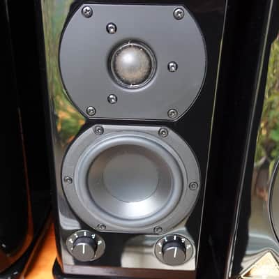 Trident Audio HG3 Monitors 2015 image 5