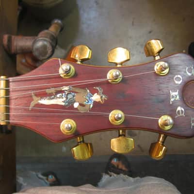 The Joker.THE Guitar! image 1