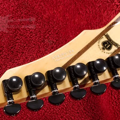 B.C. Rich Shredzilla Prophecy Archtop with Evertune Spalted Maple image 13