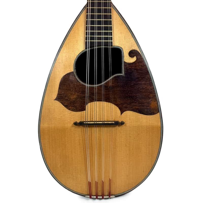 Neapolitan Mandolin G. Kasermann Style 1920's image 1