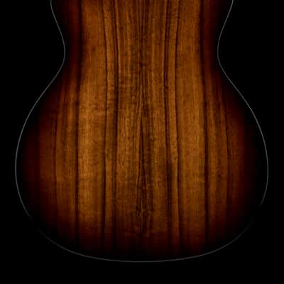 Taylor 224ce-K DLX - Shaded Edgeburst #25359 (Demonstration Model) image 2