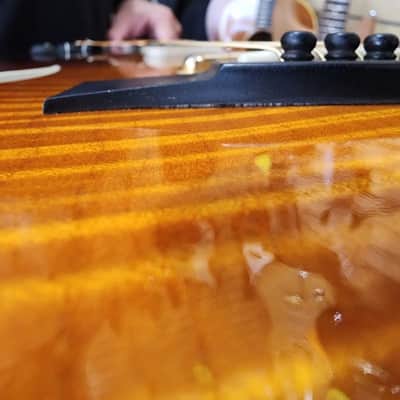 Taylor T5-C1 Thinline 5 Way Acoustic Electric w/ Hard Case image 15