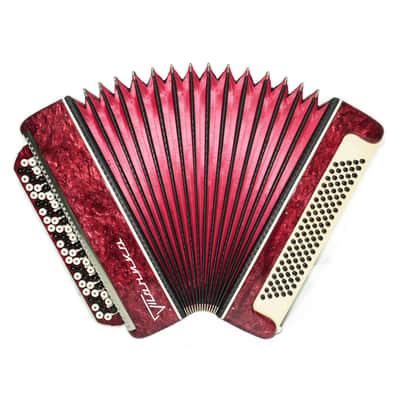 Bayan Accordion Tonica, Button Accordion Instrument 100 Bass, New Straps, Concertina B System, Soviet Harmonica in Tune, 2693 image 1