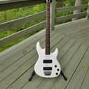 Peavey Foundation 1987