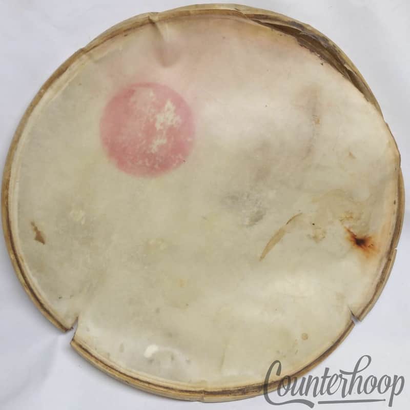 *Leedy 24" Calf Skin Bass Drum Head Calfskin 20" Retuck Project Vintage 30s USA* image 1