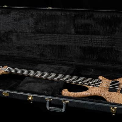 Ritter Roya 5-String Captain Silver USED (183) image 7
