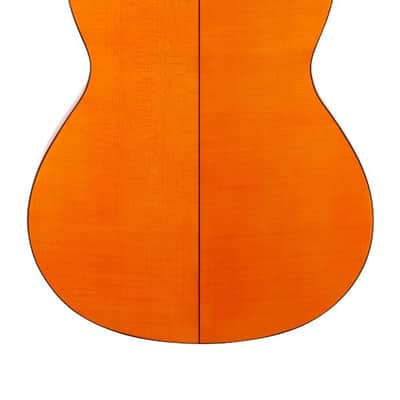 Alhambra 4-F Conservatory Flamenco Guitar with Case image 6