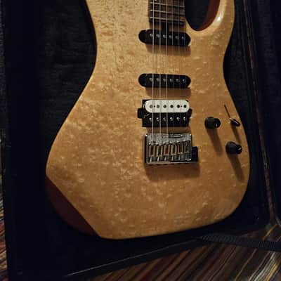 U.S. Masters Guitar Works Custom Built Vector ( Super Strat ) 2000s Cream Cloud Burst image 2