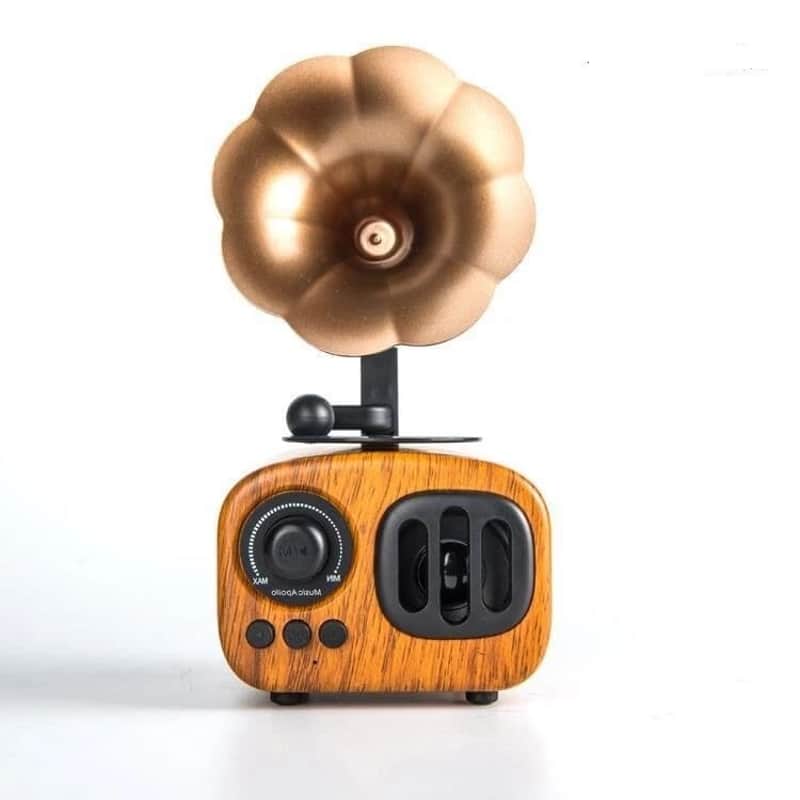 Retro Bluetooth Speaker with FM Radio – Portable Vintage Wireless Speaker with AUX & USB Playback image 1