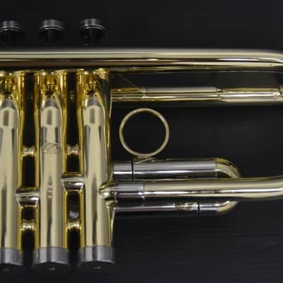 Courtois Evolution III - Lacado image 6