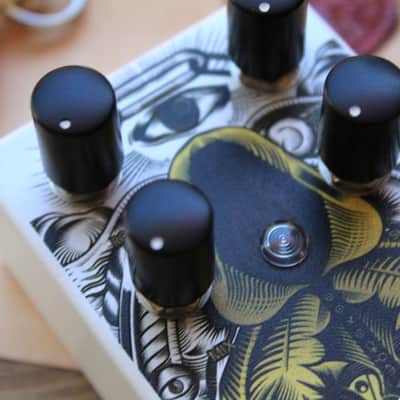 CATALINBREAD "Cloak (Delay & Modulator)" image 14